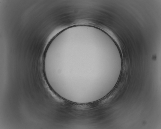 X0000090411053200708031038