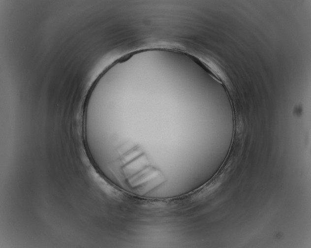 X0000090411054200708031038