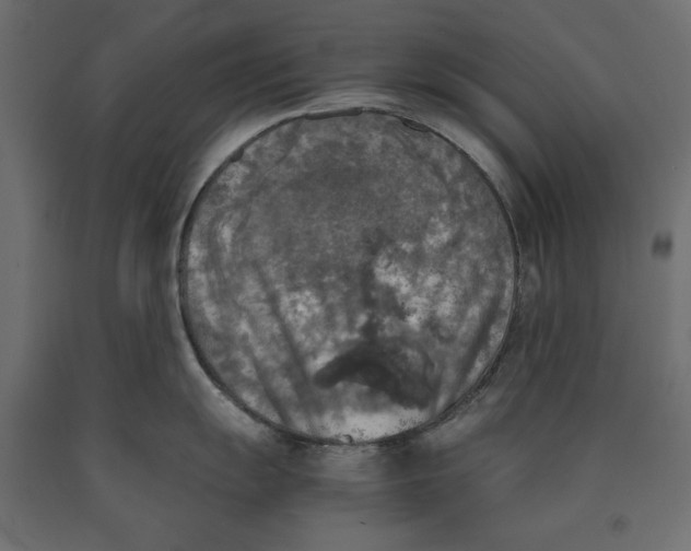 X0000090411055200708031038