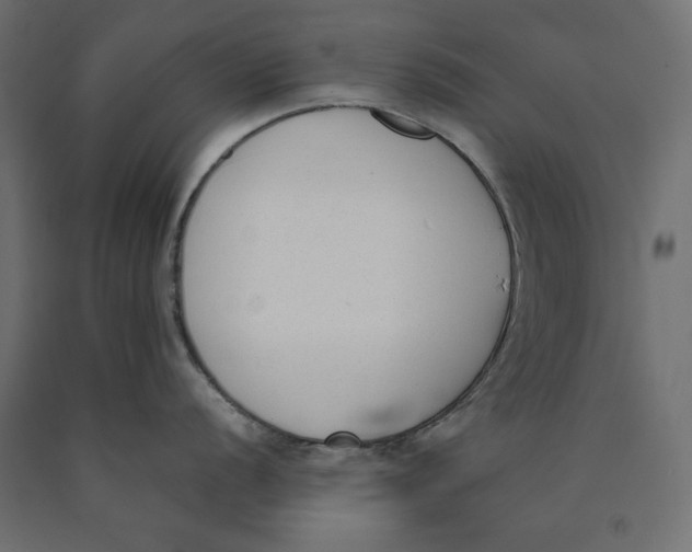 X0000090411056200708031038
