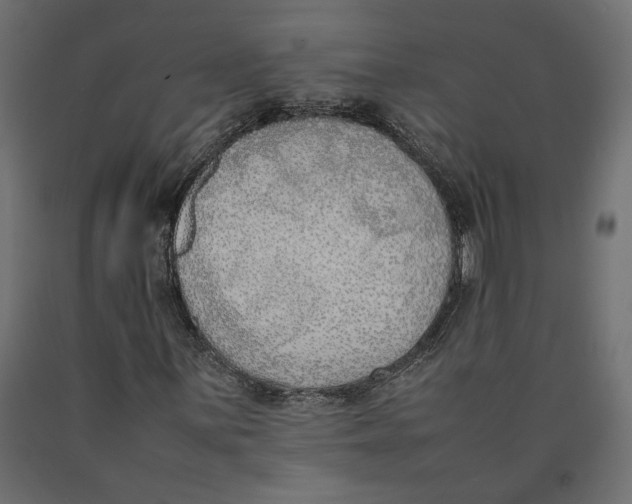 X0000090411059200708031037