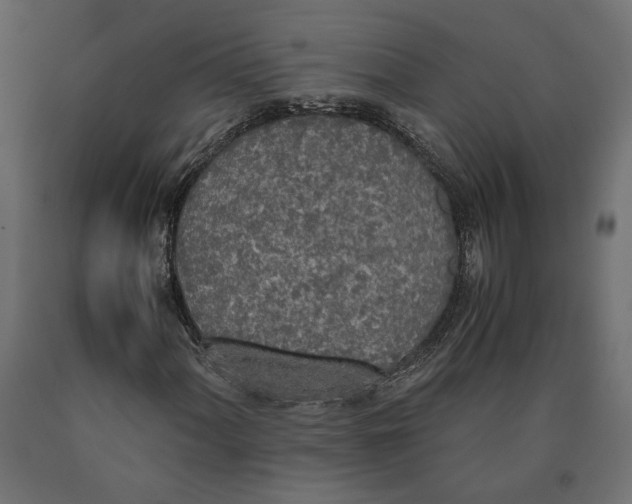 X0000090411060200708031037