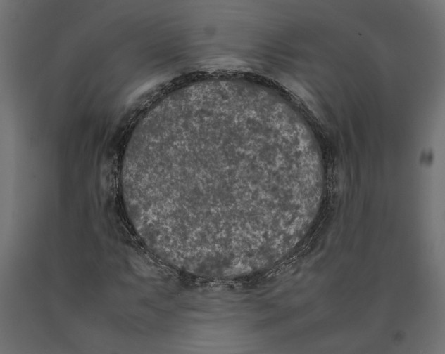 X0000090411063200708031037