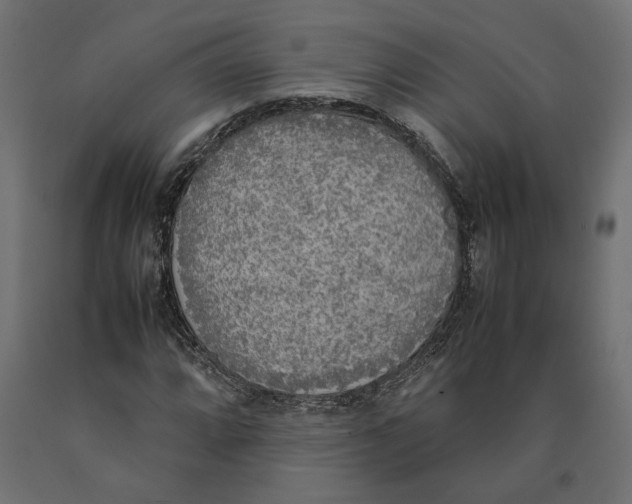 X0000090411064200708031037