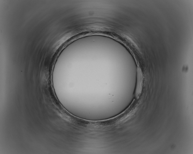 X0000090411065200708031037