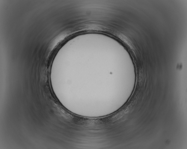 X0000090411067200708031037