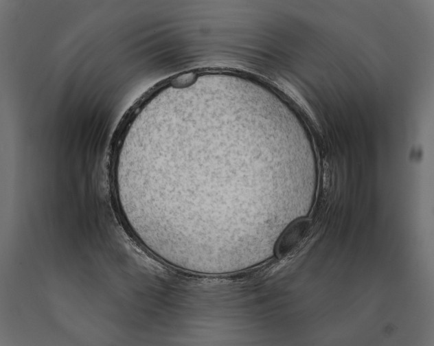 X0000090411068200708031037