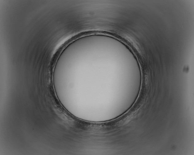X0000090411069200708031037