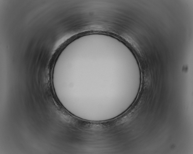 X0000090411070200708031037