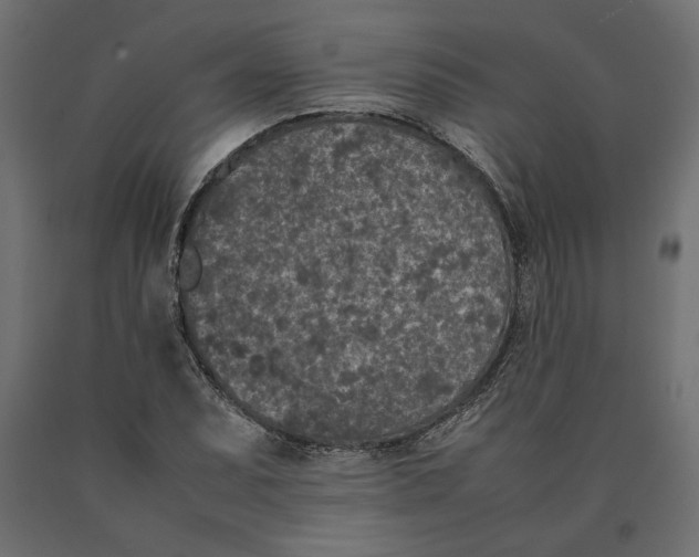 X0000090411071200708031037