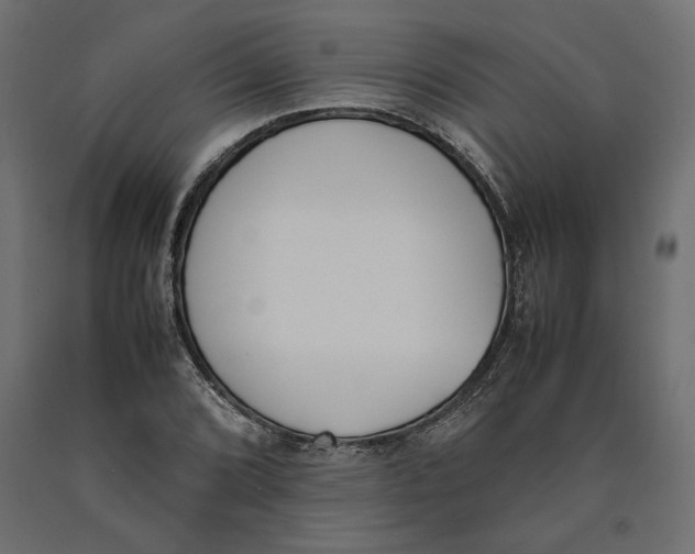 X0000090411072200708031037