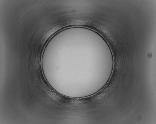 X0000090411073200708031037