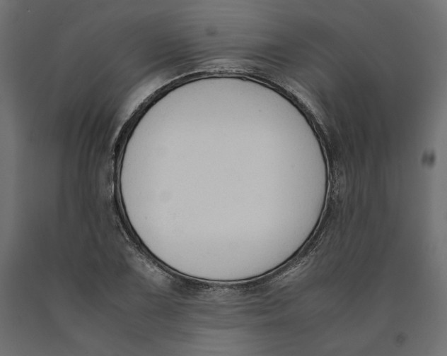 X0000090411075200708031037