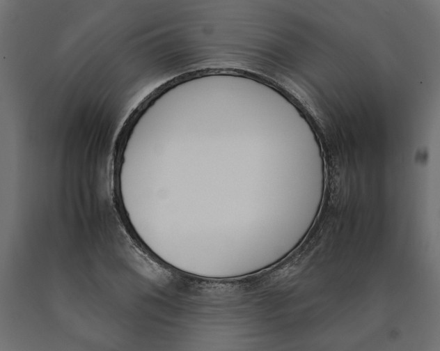 X0000090411076200708031037