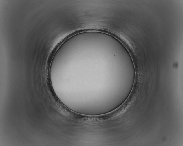 X0000090411077200708031037