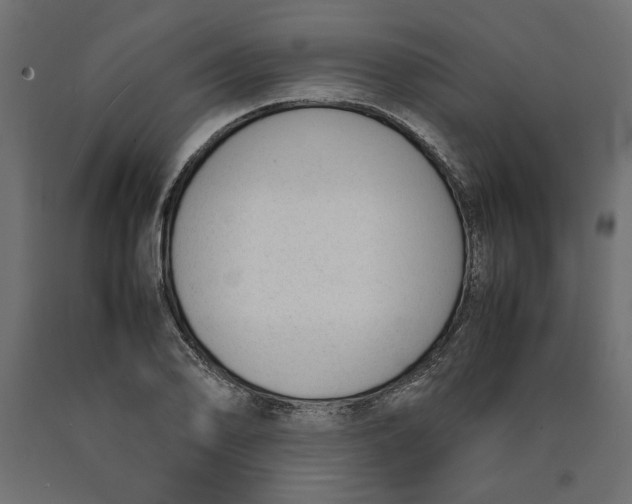 X0000090411078200708031037
