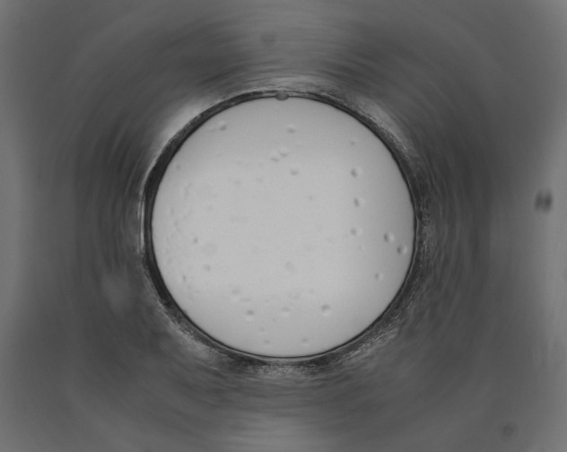 X0000090411079200708031037