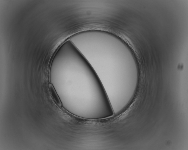 X0000090411081200708031037