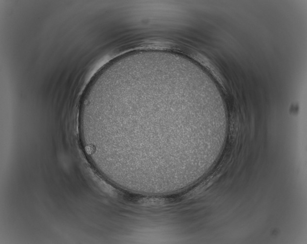 X0000090411083200708031037