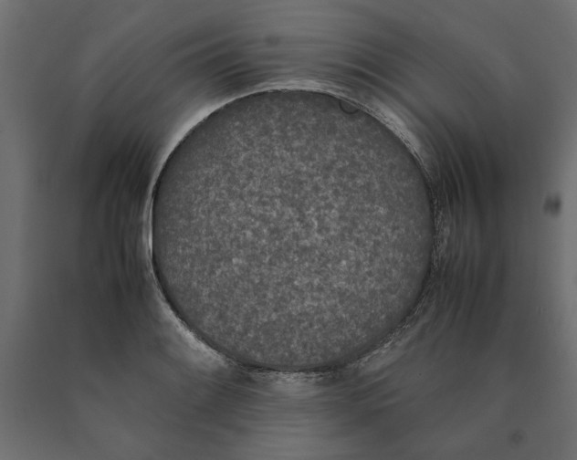 X0000090411084200708031037