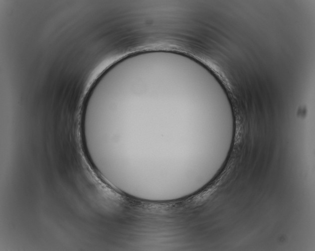 X0000090411086200708031037