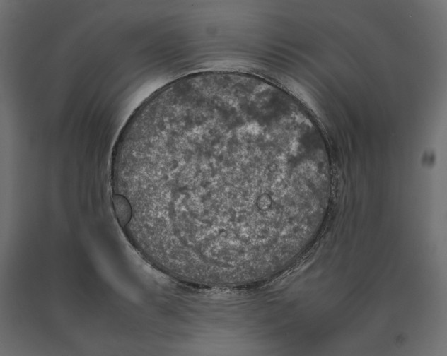 X0000090411087200708031037