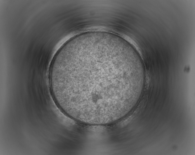 X0000090411090200708031037