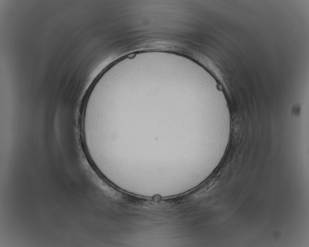 X0000090411091200708031037