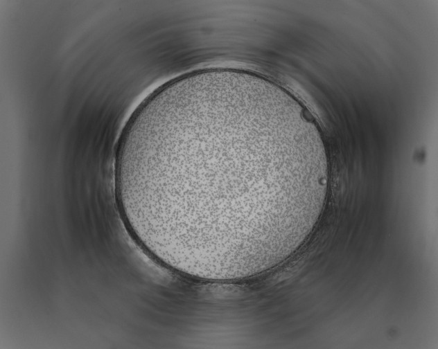 X0000090411092200708031037