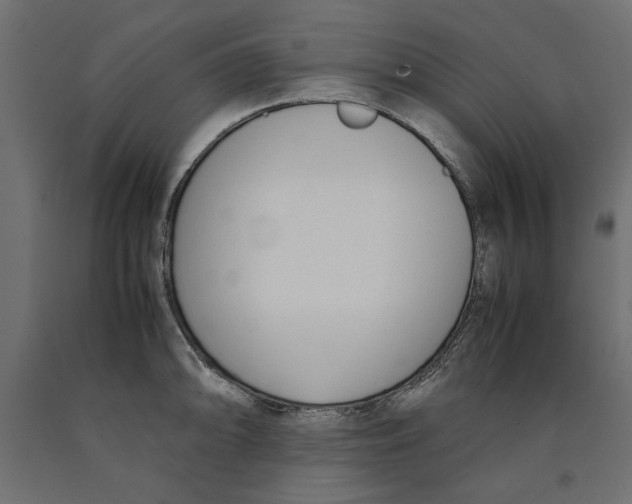 X0000090411094200708031037