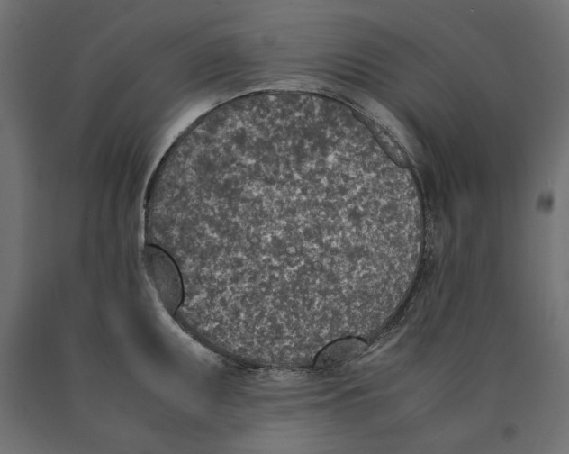 X0000090411095200708031037