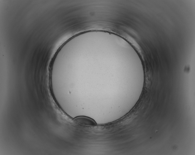X0000090411096200708031037