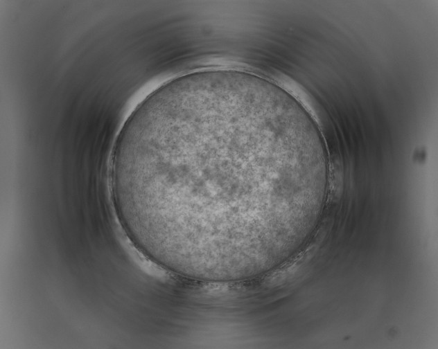 X0000090411098200708031037