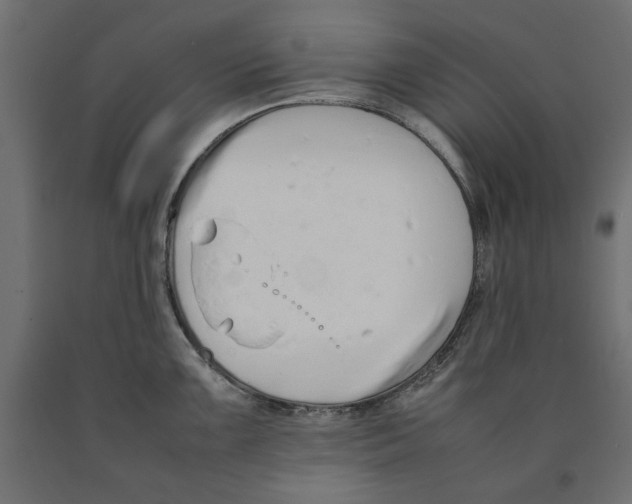 X0000090411099200708031037
