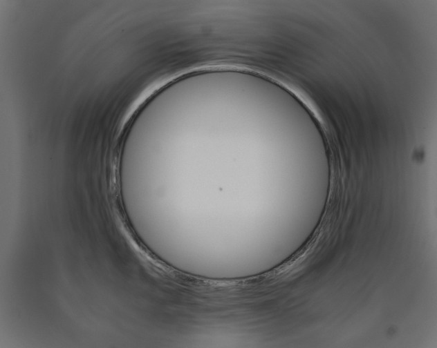 X0000090411101200708031037