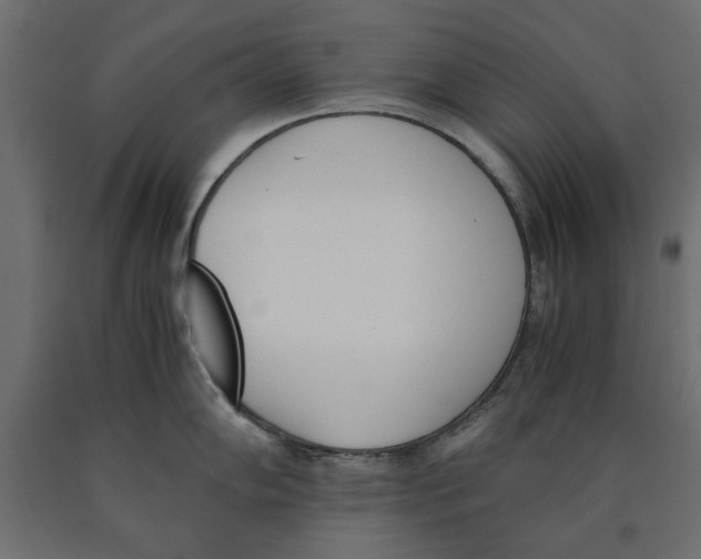 X0000090411102200708031037