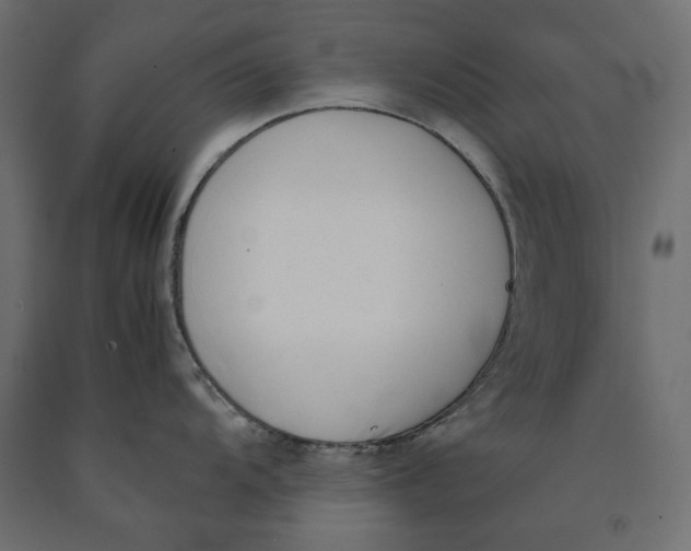 X0000090411104200708031036