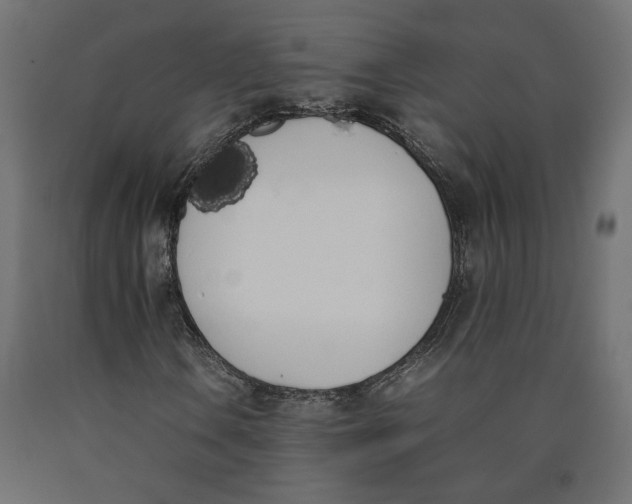 X0000090411106200708031036