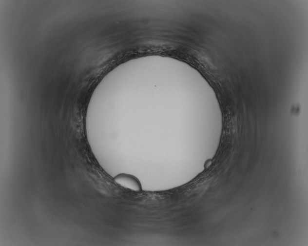 X0000090411109200708031036