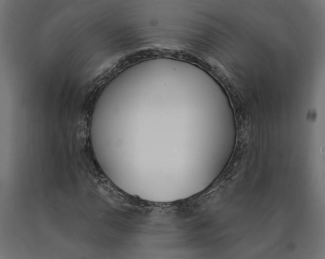 X0000090411110200708031036