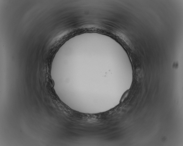 X0000090411111200708031036