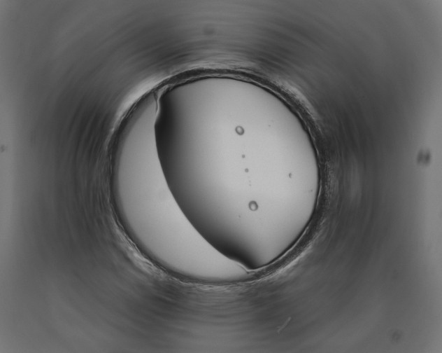 X0000090411114200708031036