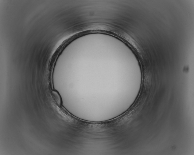 X0000090411116200708031036