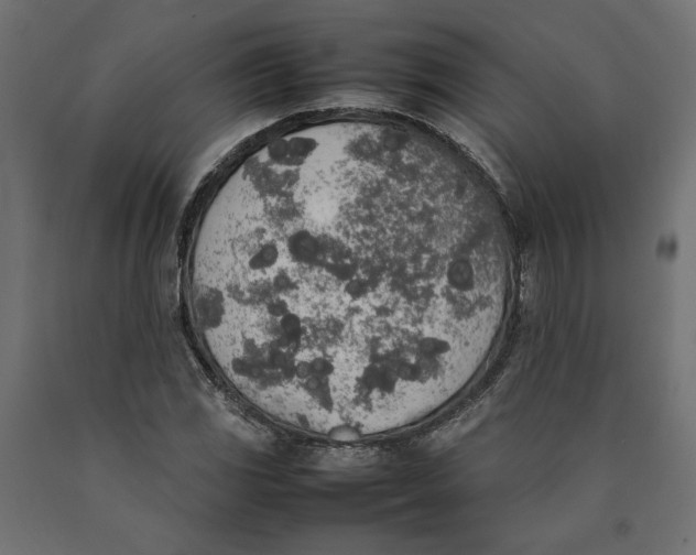 X0000090411117200708031036