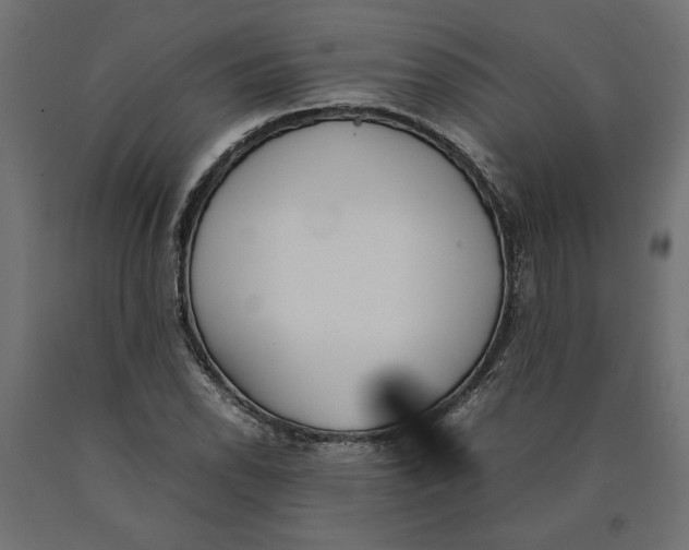 X0000090411118200708031036