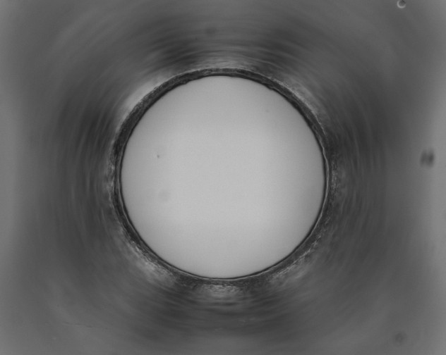 X0000090411119200708031036