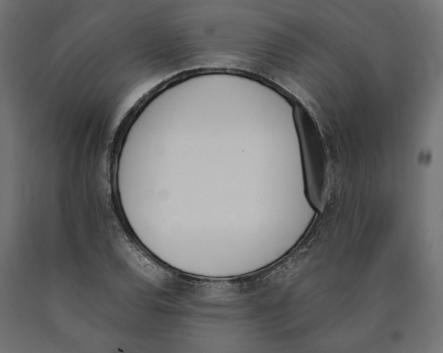 X0000090411120200708031036