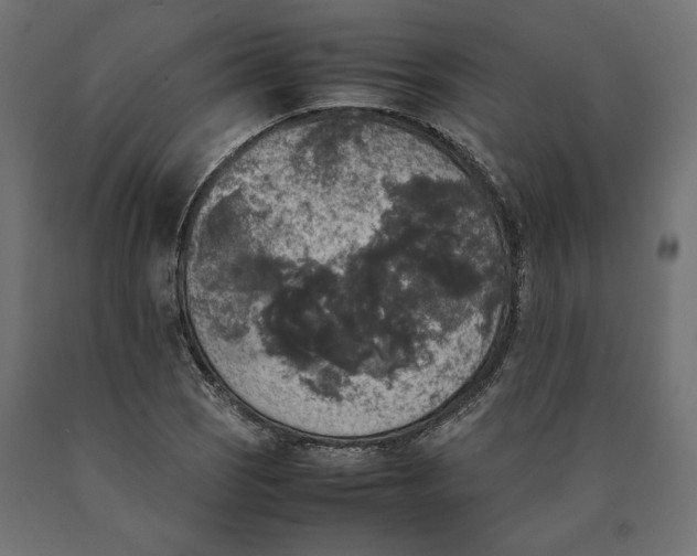 X0000090411121200708031036