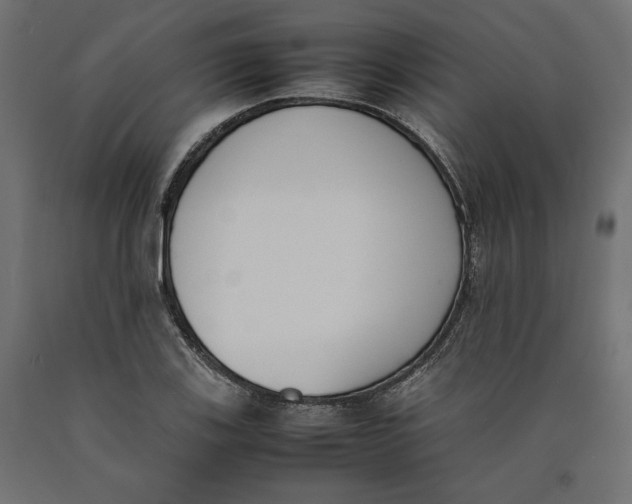 X0000090411123200708031036