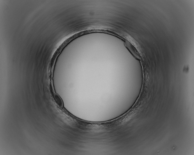 X0000090411124200708031036